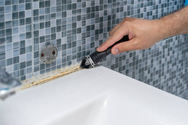 Best Mold Cleaning Services  in Elmont, NY